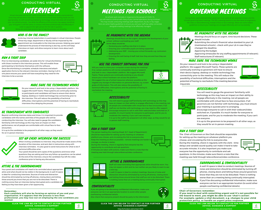 virtual-meetings-and-interviews-infographic_orig